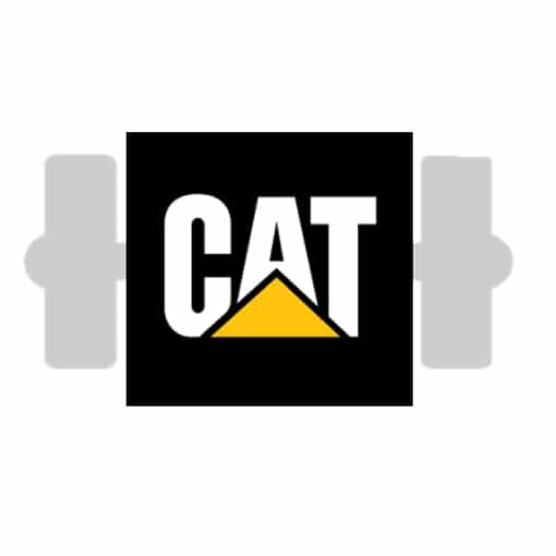 Caterpillar